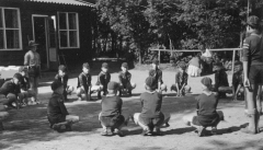1960-1969036