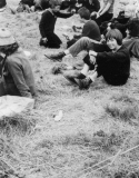 1970-1979063