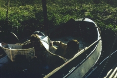 1970-1979140