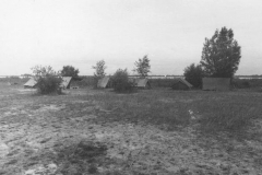 1970-1979151