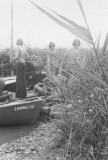 1970-1979153
