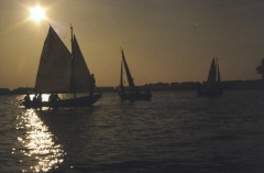 1970-1979241
