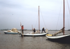 1970-1979244