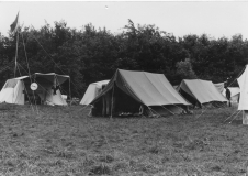 1980-1989027