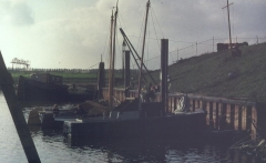 1980-1989157