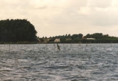 1980-1989197