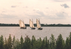 1980-1989208