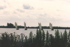 1980-1989209