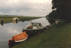 1980-1989213