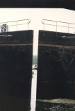 1980-1989216