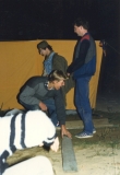1980-1989230