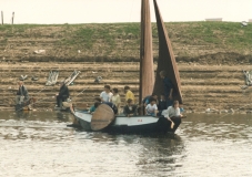 1980-1989258