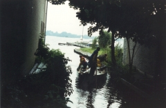 1980-1989323