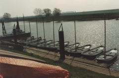 1980-1989358