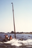 1980-1989381