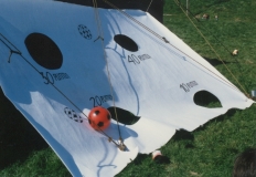 1990-1999011