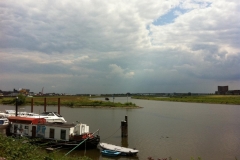 IMG_0118_(Large)