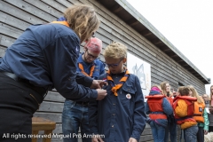 OVS-MP-17041500028-1