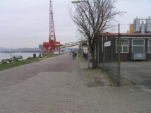 afscheid-bevers-004