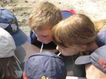 bevers-2008-031-_small_