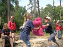 bevers-2008-033-_small_