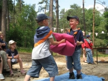 bevers-2008-035-_small_