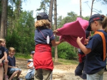 bevers-2008-037-_small_