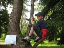 bevers-2008-039-_small_