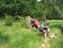 bevers-2008-047-_small_