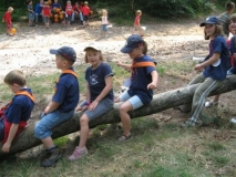 bevers-2008-051-_small_