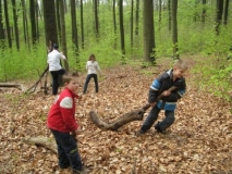 bos-met-robben-26-04-08-_18_-_small_