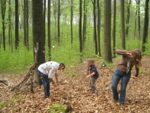 bos-met-robben-26-04-08-_21_-_small_