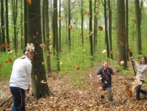bos-met-robben-26-04-08-_23_-_small_