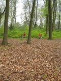 bos-met-robben-26-04-08-_7_-_small_