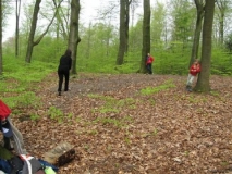 bos-met-robben-26-04-08-_8_-_small_