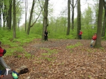 bos-met-robben-26-04-08-_9_-_small_
