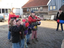december-07-042-_small_