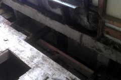 imag0610