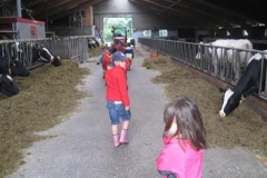 img_4247-_small_