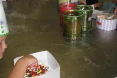 img_4447-_small_