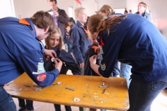 installatie-robben-2013-024_2048x1365