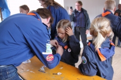 installatie-robben-2013-027_2048x1365
