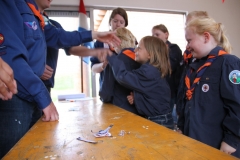 installatie-robben-2013-031_2048x1365
