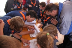 installatie-robben-2013-044_2048x1365