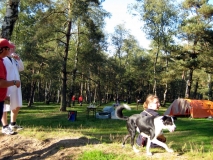 overvliegweekend2008_079