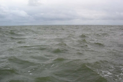 picture_073