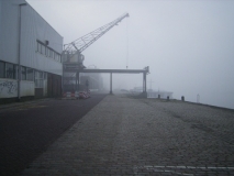 installatie-2007-robben