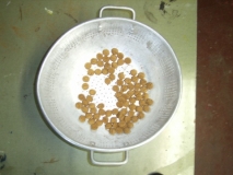 rimg0292