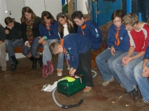 sinterklaas_014_small