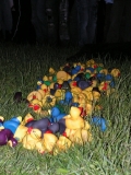 zonpict0048_0